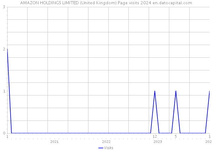 AMAZON HOLDINGS LIMITED (United Kingdom) Page visits 2024 