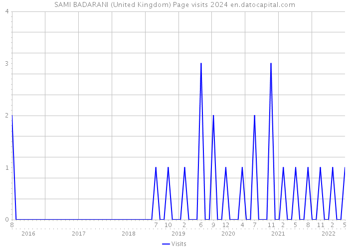 SAMI BADARANI (United Kingdom) Page visits 2024 