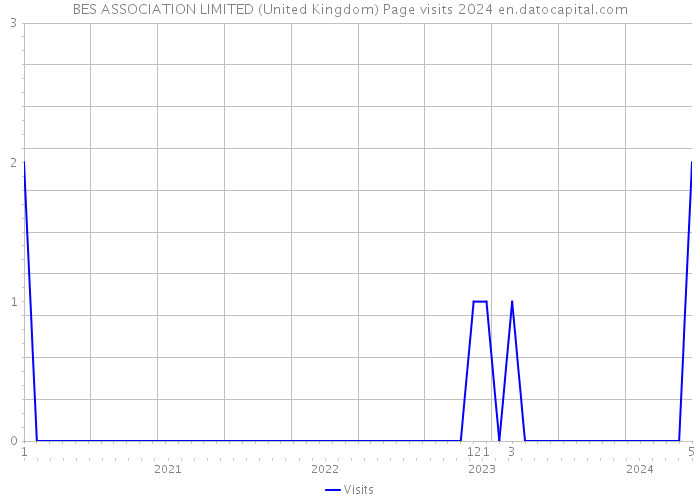 BES ASSOCIATION LIMITED (United Kingdom) Page visits 2024 