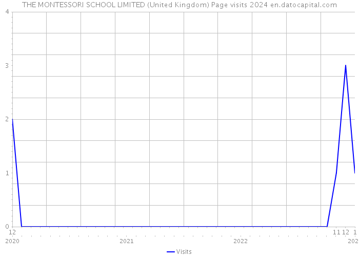 THE MONTESSORI SCHOOL LIMITED (United Kingdom) Page visits 2024 
