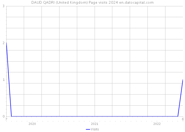 DAUD QADRI (United Kingdom) Page visits 2024 