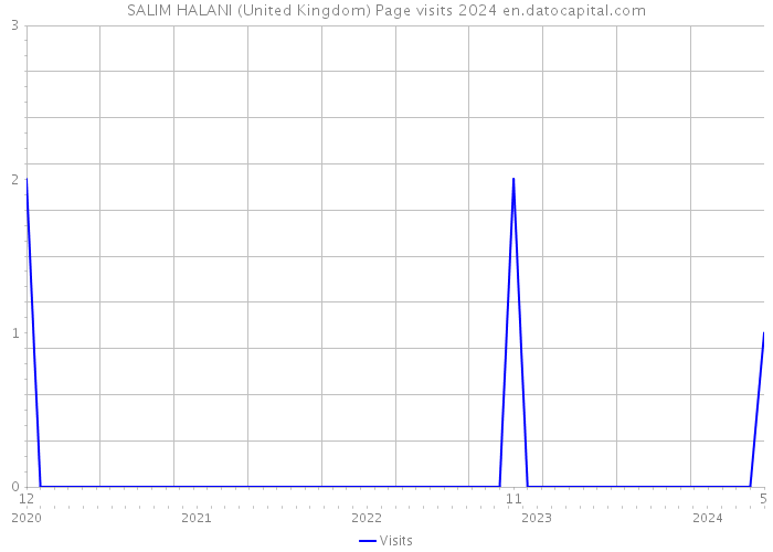 SALIM HALANI (United Kingdom) Page visits 2024 