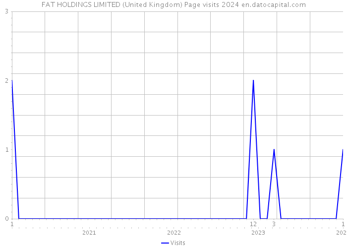 FAT HOLDINGS LIMITED (United Kingdom) Page visits 2024 