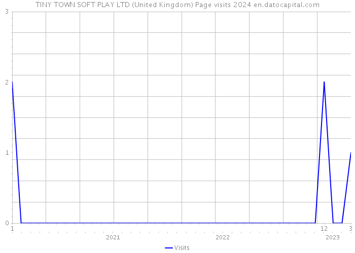 TINY TOWN SOFT PLAY LTD (United Kingdom) Page visits 2024 