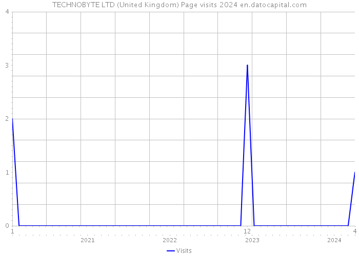 TECHNOBYTE LTD (United Kingdom) Page visits 2024 