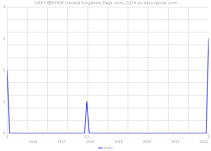 GARY BEKHOR (United Kingdom) Page visits 2024 