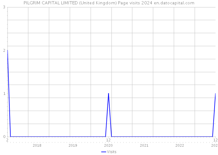 PILGRIM CAPITAL LIMITED (United Kingdom) Page visits 2024 