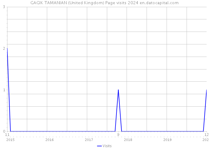 GAGIK TAMANIAN (United Kingdom) Page visits 2024 
