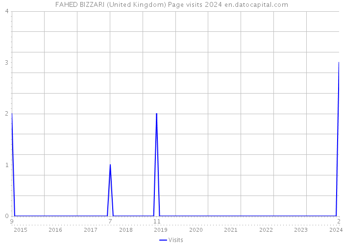 FAHED BIZZARI (United Kingdom) Page visits 2024 