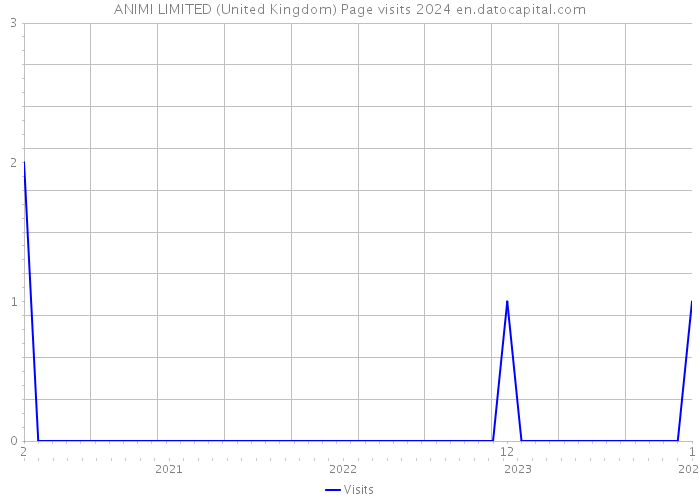 ANIMI LIMITED (United Kingdom) Page visits 2024 