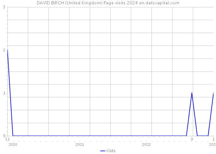 DAVID BIRCH (United Kingdom) Page visits 2024 