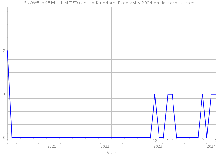 SNOWFLAKE HILL LIMITED (United Kingdom) Page visits 2024 