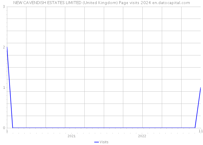 NEW CAVENDISH ESTATES LIMITED (United Kingdom) Page visits 2024 