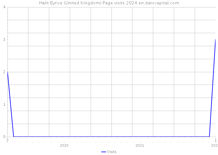 Halit Eyrice (United Kingdom) Page visits 2024 