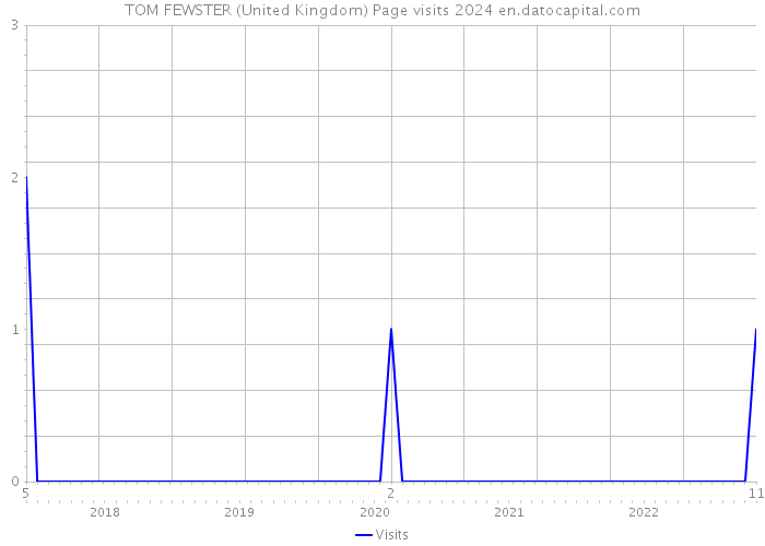TOM FEWSTER (United Kingdom) Page visits 2024 