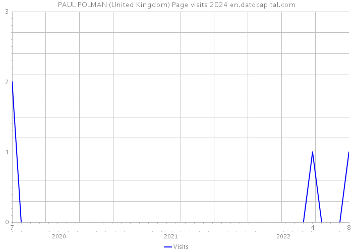 PAUL POLMAN (United Kingdom) Page visits 2024 