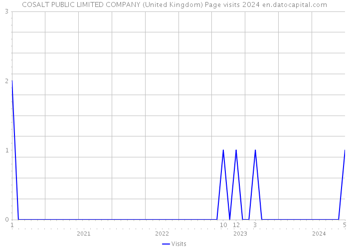 COSALT PUBLIC LIMITED COMPANY (United Kingdom) Page visits 2024 