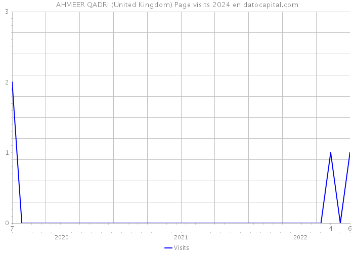 AHMEER QADRI (United Kingdom) Page visits 2024 