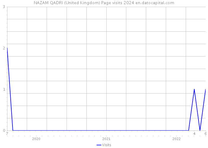NAZAM QADRI (United Kingdom) Page visits 2024 