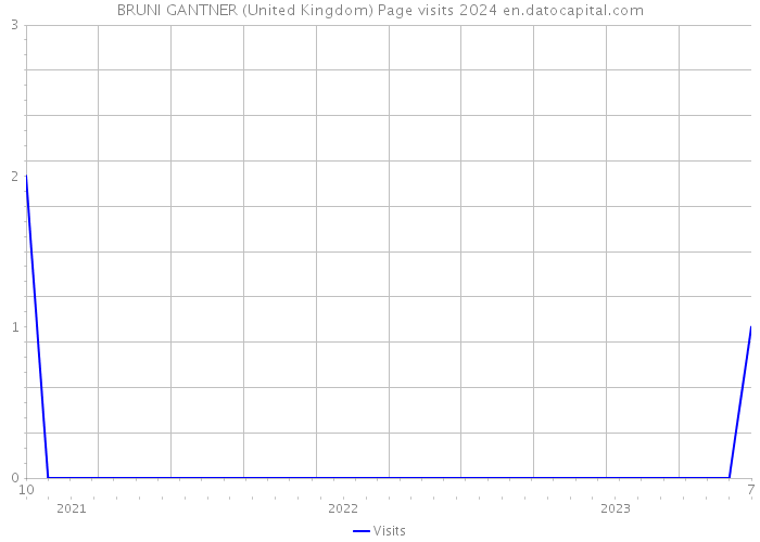 BRUNI GANTNER (United Kingdom) Page visits 2024 
