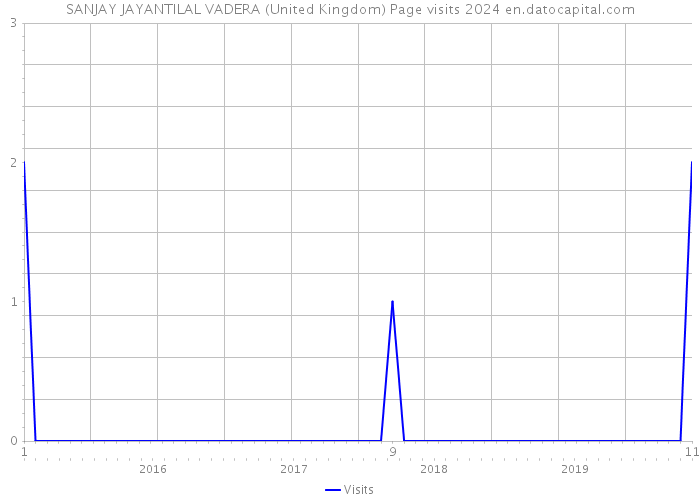 SANJAY JAYANTILAL VADERA (United Kingdom) Page visits 2024 