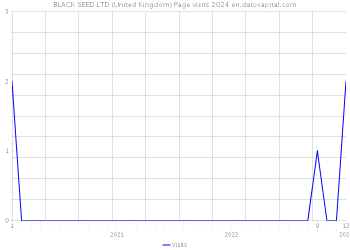 BLACK SEED LTD (United Kingdom) Page visits 2024 
