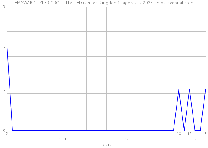 HAYWARD TYLER GROUP LIMITED (United Kingdom) Page visits 2024 