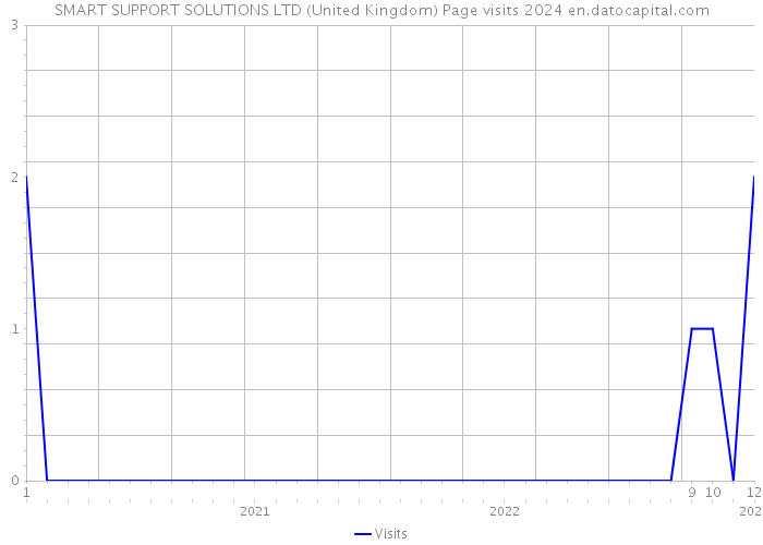 SMART SUPPORT SOLUTIONS LTD (United Kingdom) Page visits 2024 