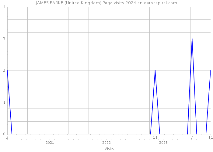 JAMES BARKE (United Kingdom) Page visits 2024 
