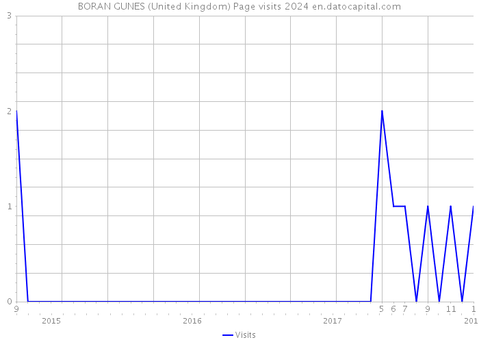 BORAN GUNES (United Kingdom) Page visits 2024 