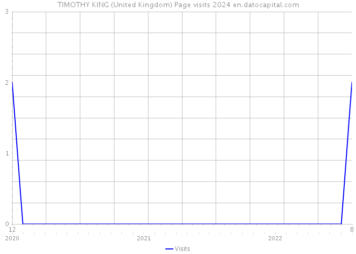 TIMOTHY KING (United Kingdom) Page visits 2024 