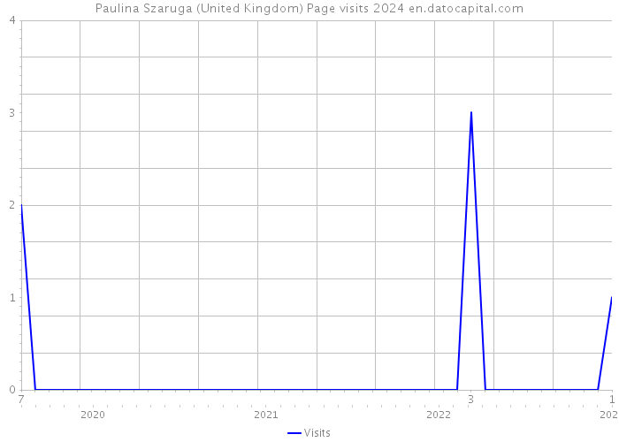 Paulina Szaruga (United Kingdom) Page visits 2024 