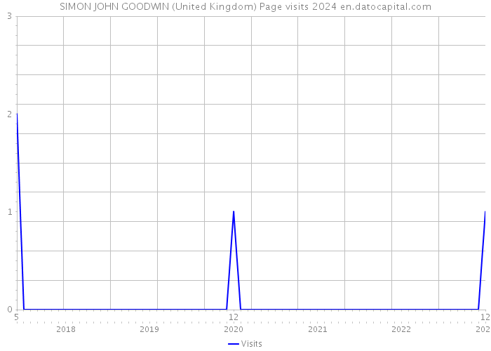 SIMON JOHN GOODWIN (United Kingdom) Page visits 2024 