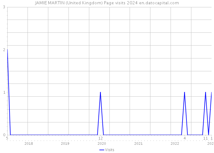 JAMIE MARTIN (United Kingdom) Page visits 2024 