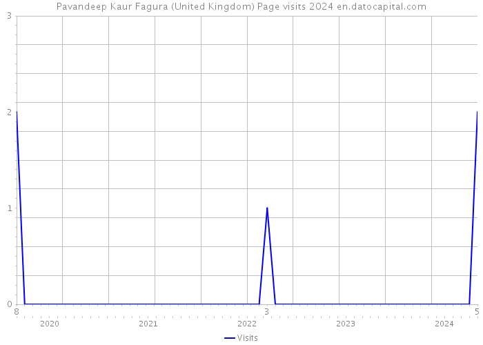 Pavandeep Kaur Fagura (United Kingdom) Page visits 2024 