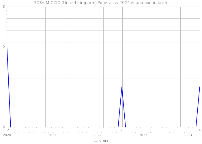 ROSA MICCIO (United Kingdom) Page visits 2024 