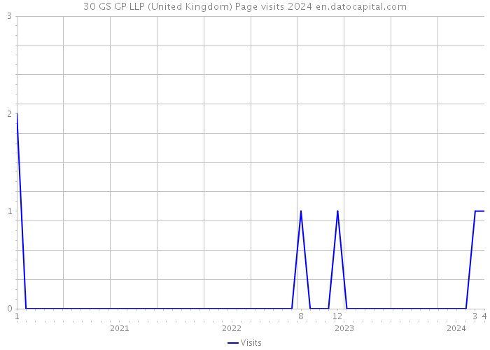 30 GS GP LLP (United Kingdom) Page visits 2024 