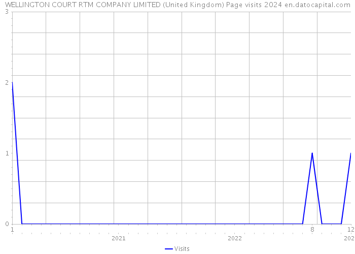 WELLINGTON COURT RTM COMPANY LIMITED (United Kingdom) Page visits 2024 