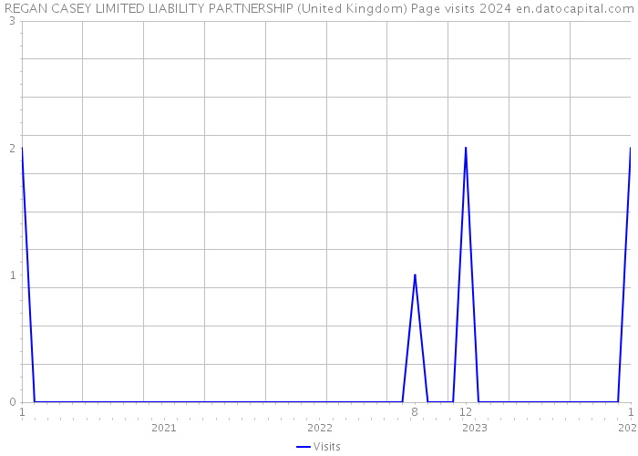 REGAN CASEY LIMITED LIABILITY PARTNERSHIP (United Kingdom) Page visits 2024 