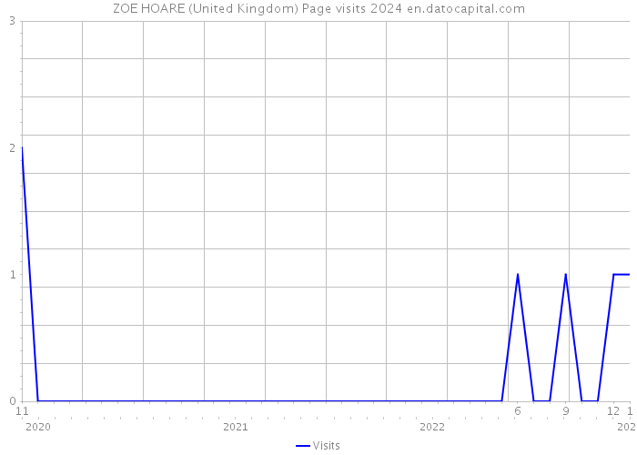 ZOE HOARE (United Kingdom) Page visits 2024 