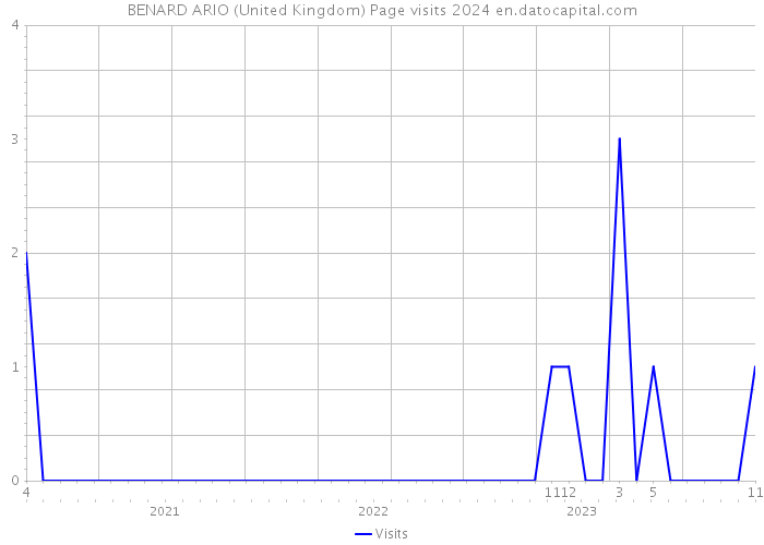 BENARD ARIO (United Kingdom) Page visits 2024 