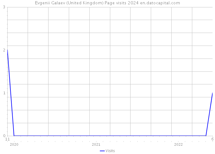 Evgenii Galaev (United Kingdom) Page visits 2024 