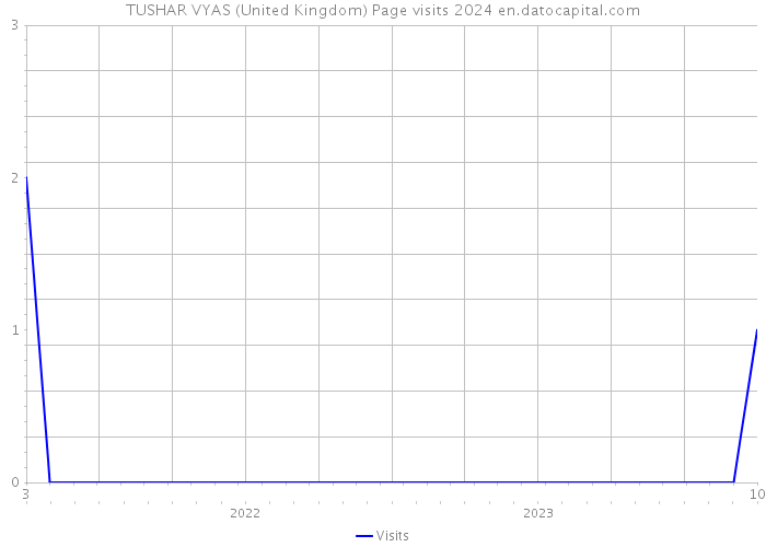 TUSHAR VYAS (United Kingdom) Page visits 2024 