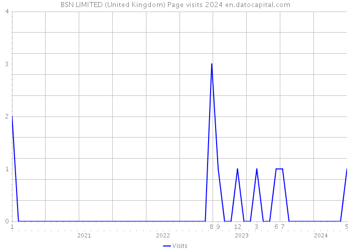 BSN LIMITED (United Kingdom) Page visits 2024 