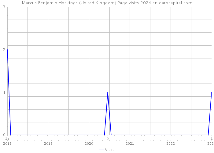 Marcus Benjamin Hockings (United Kingdom) Page visits 2024 