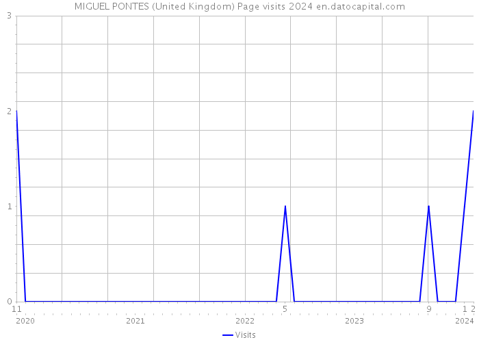MIGUEL PONTES (United Kingdom) Page visits 2024 