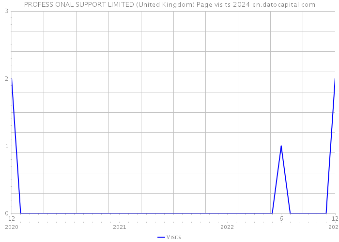 PROFESSIONAL SUPPORT LIMITED (United Kingdom) Page visits 2024 