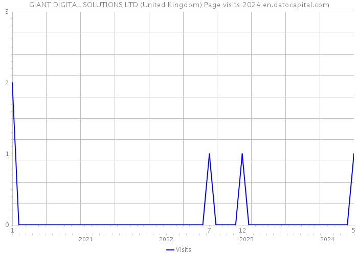 GIANT DIGITAL SOLUTIONS LTD (United Kingdom) Page visits 2024 