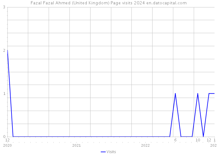 Fazal Fazal Ahmed (United Kingdom) Page visits 2024 