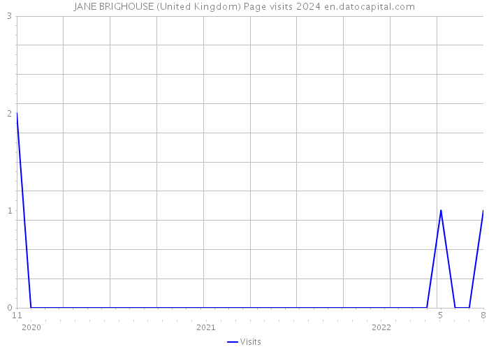 JANE BRIGHOUSE (United Kingdom) Page visits 2024 